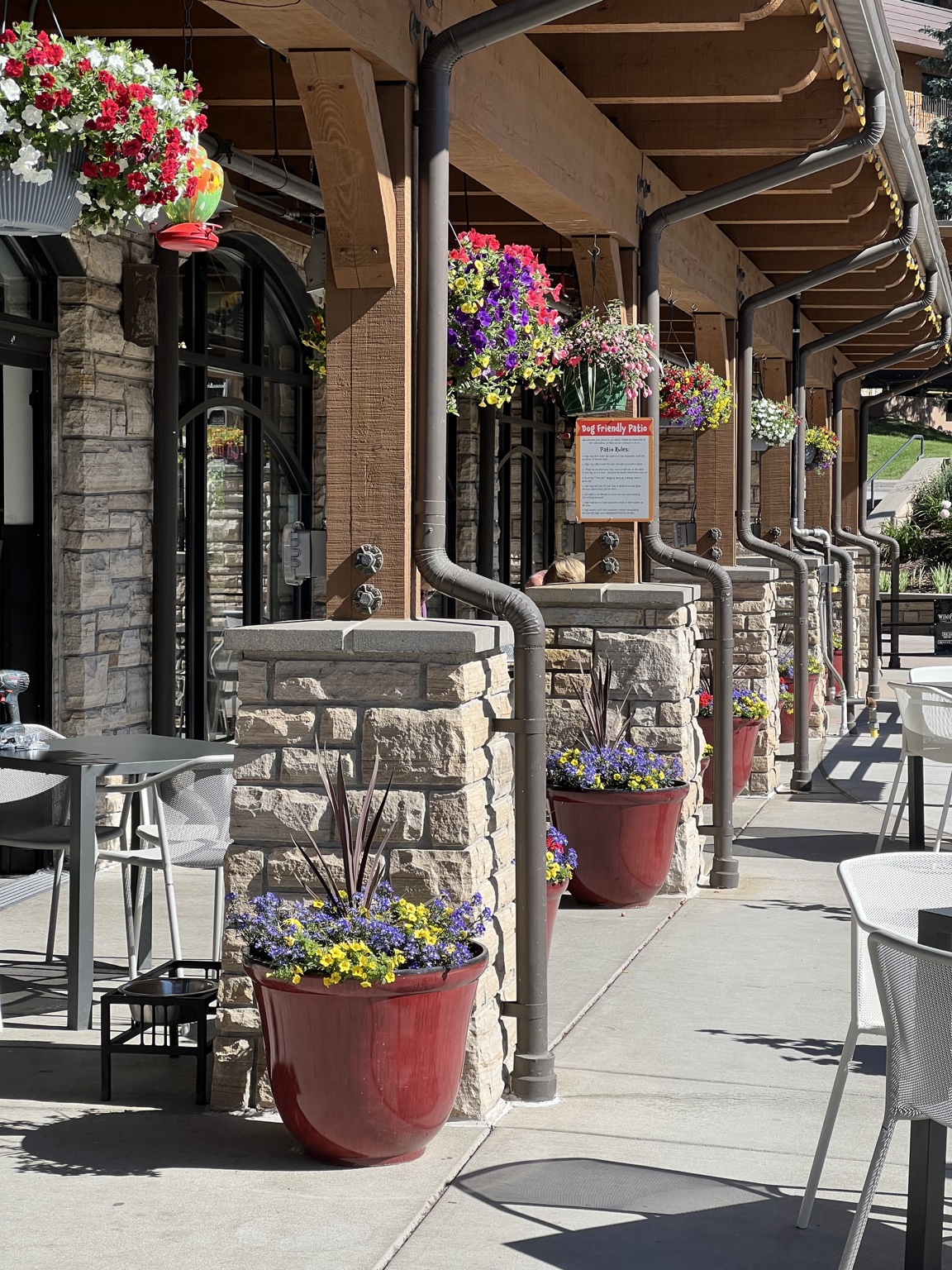 Sunny's flowers lining the Wild Plum patio